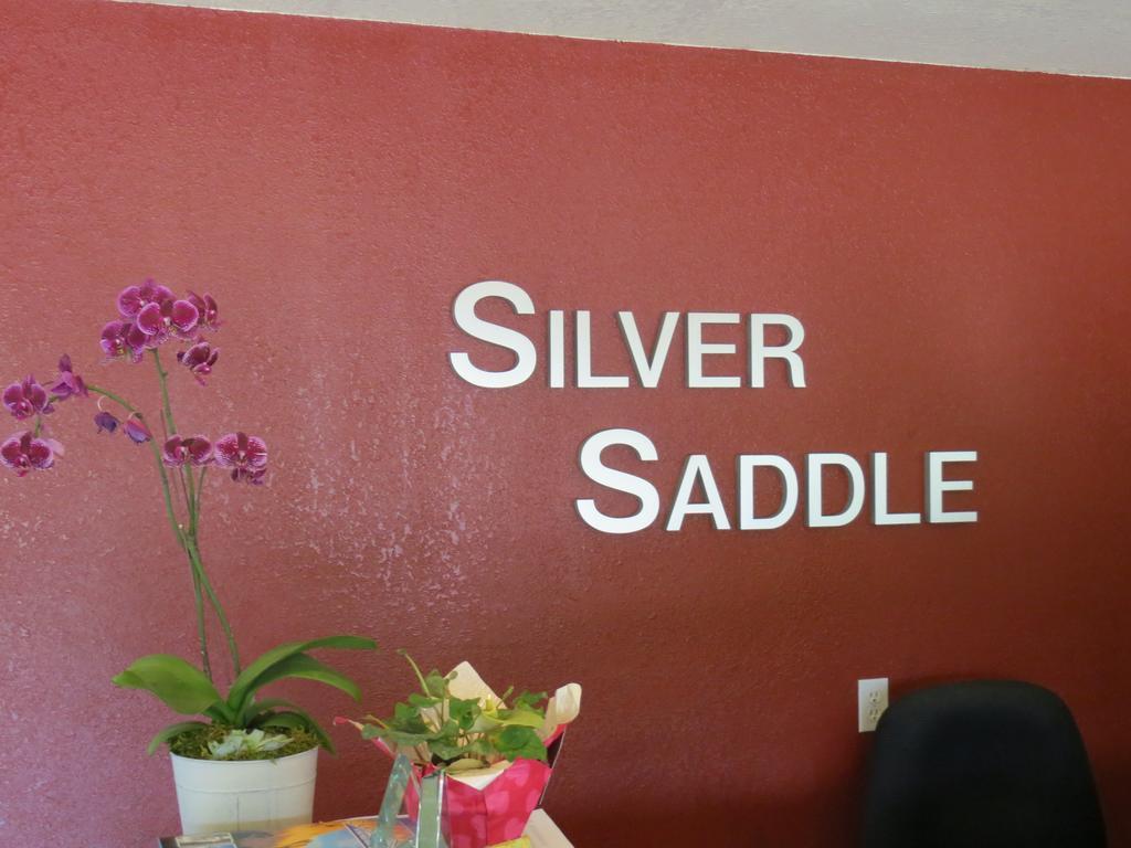 Silver Saddle Motel Маниту-Спрингс Экстерьер фото